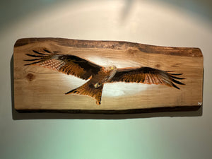 Red Kite on Elm - 78cm x 32cm - Number 3 in edition