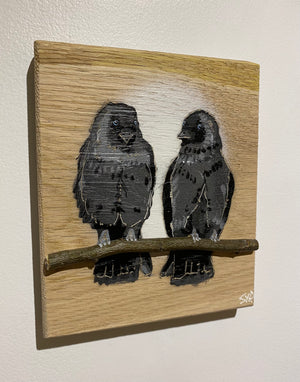 Local Lovebirds (The Jackdaws) new for 2025 on Oak wood Number 5 - 15 x 18cm