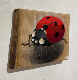 Ladybird ‘Speedy’ 2024 - Number 17 in edition Elm wood from the UK - 15 x 11cm