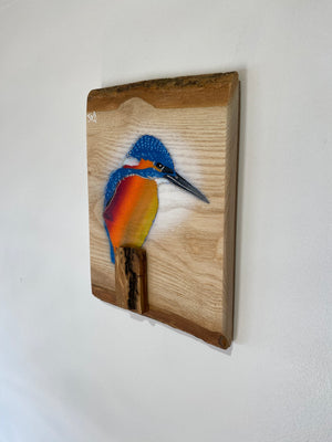 Kingfisher ‘Fisherman’ on Ash barky wood - Signed artwork size 16 x 23cm