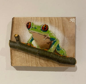 Tree Frog Brand New Artwork fro 2025 on Ash wood - Number 6 - 16 x 12cm