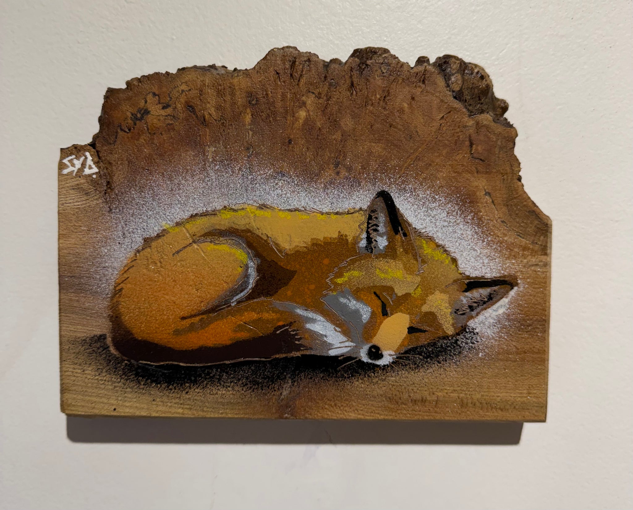 Fox 'Alert' on barky Oak wood - Size 14 x 15cm - Artwork No. 49 from Limited Signed Edition