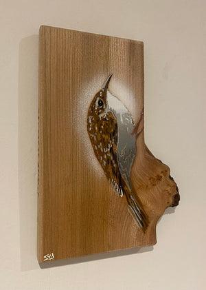 Treecreeper on Elm wood - 17cm by 24cm with beautiful natural shape to wood edge