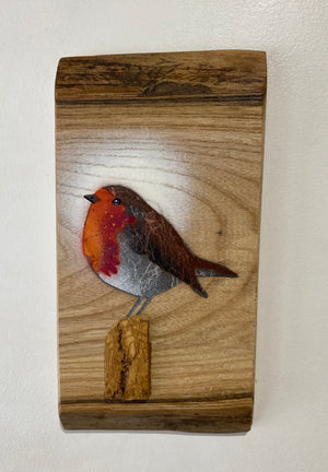 Robin 2025 on rare Elm with beautiful red grain and 3D stump - 13 x 25cm