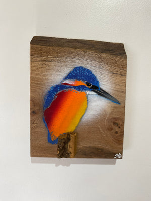 Kingfisher ‘Fisherman’ on Elm wood - Signed Limited Edition artwork size 15 x 21cm