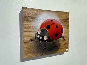 Ladybird ‘Speedy’ 2024 - No. 34 in edition on Elm wood from the UK - 15 x 13cm