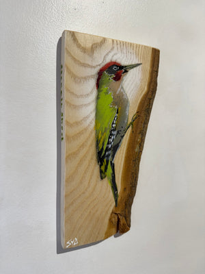 Woodpecker ‘Green’ - New for 2025 on barky Ash wood from signed limited edition - 14 x 26cm