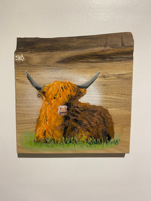 Highland Cow on Elm - Signed Limited Edition Artwork - size 23 x 25cm - Number 32