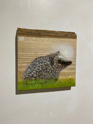 Hedgehog on barky Ash - New for 2024 - 18 x 17cm - number 60