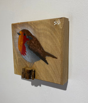 Robin 2025 on rare Elm with beautiful red grain and 3D perch - 11 x 11cm - New for Mother's Day