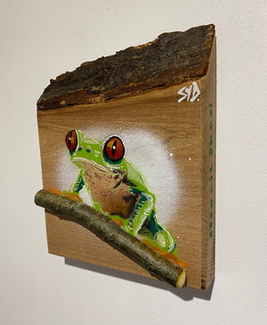 Tree Frog Brand New Artwork fro 2025 on Elm - Number 18 - 14 x 15cm with barky top edge