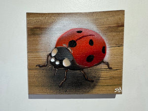 Ladybird ‘Speedy’ 2024 - No. 34 in edition on Elm wood from the UK - 15 x 13cm