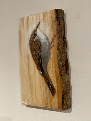 Treecreeper on barky ash wood - 13cm by 24cm