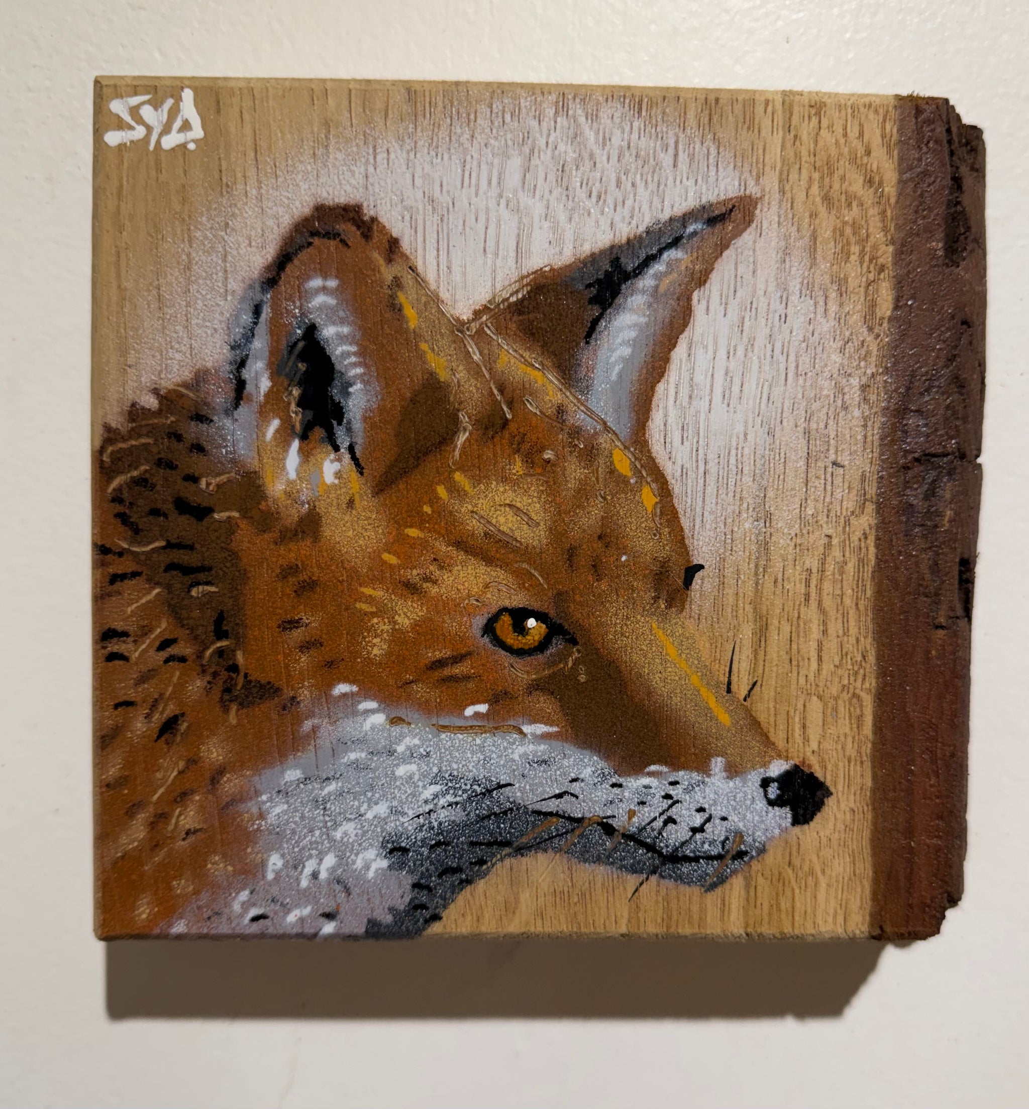 Fox 'Alert' on barky Oak wood - Size 15 x 14cm - Artwork No. 50 from Limited Signed Edition