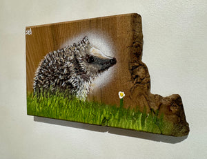 Hedgehog on Elm - Number 1 - New for 2024 - 25 x 15 cm