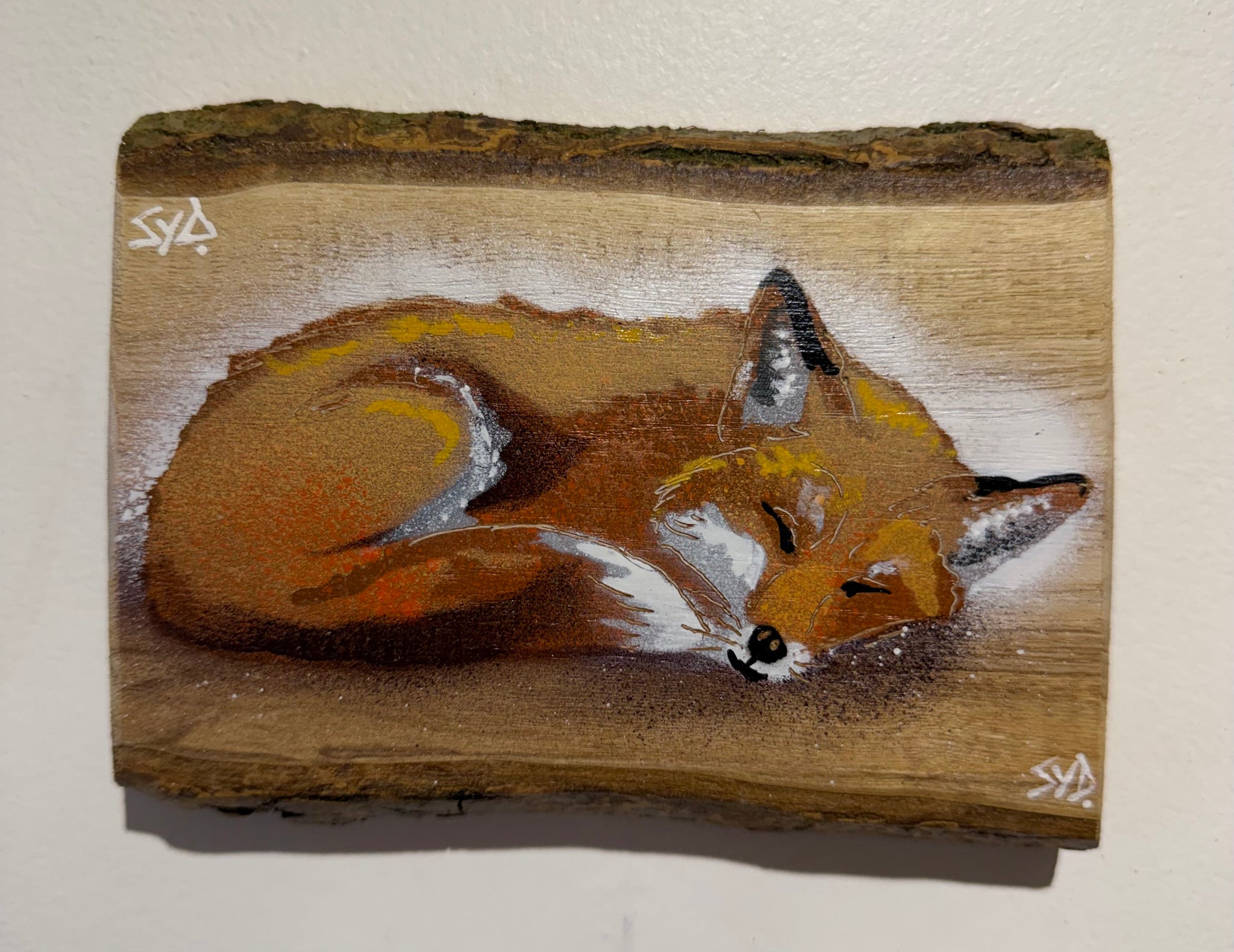 Snoozey Fox - New for 2026 on barky ash wood - Number 3 - Size 15 x 12cm