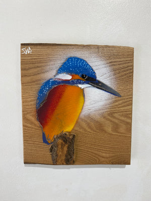 Kingfisher ‘Fisherman’ on Elm wood - Signed Limited Edition artwork size 16 x 18cm