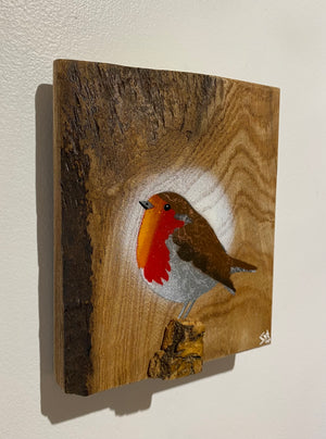 Robin 2025 on rare Elm with beautiful red grain and 3D stump - 13 x 17cm - New for Mother's Day