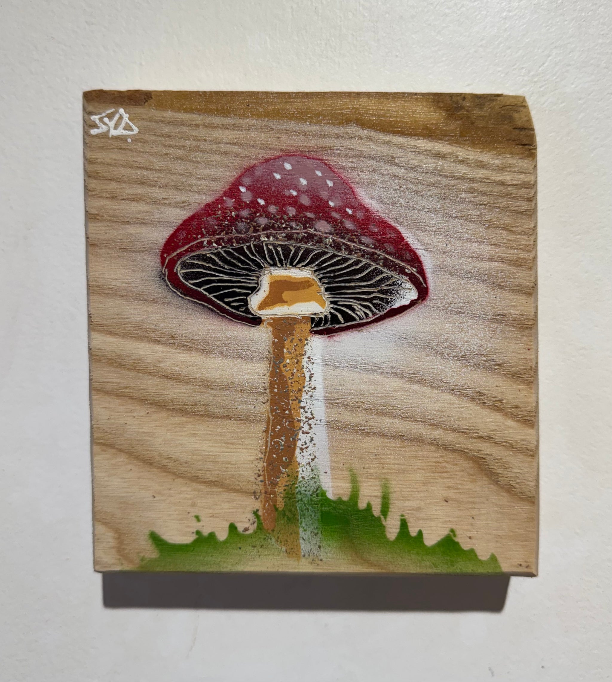 Mushrooms - on Ash Wood - with added texture - 13 x 14cm