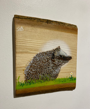 Hedgehog on double barky Ash - New for 2024 - 18 x 22cm - number 35