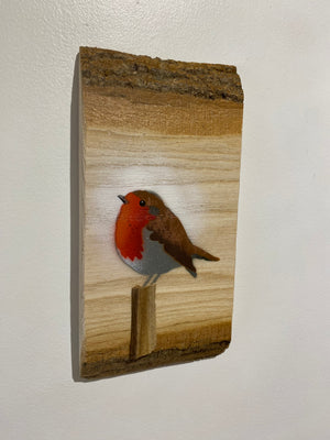 Robin 2025 on English Ash with beautiful barky edges and 3D stump - 12 x 25cm