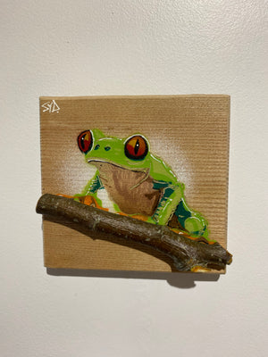 Tree Frog Brand New Artwork from 2025 on Oak - Number 11 - 14 x 14cm