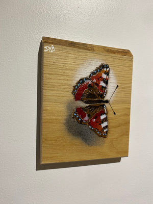 Butterfly new in 2024 Stencil Art on Oak wood size 15 x 19cm