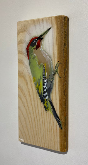 Woodpecker ‘Green’ - New for 2025 on barky Ash wood from signed limited edition - 11 x 26cm