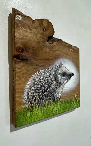 Hedgehog on Elm - Number 2 - New for 2024 - 23 x 19 cm