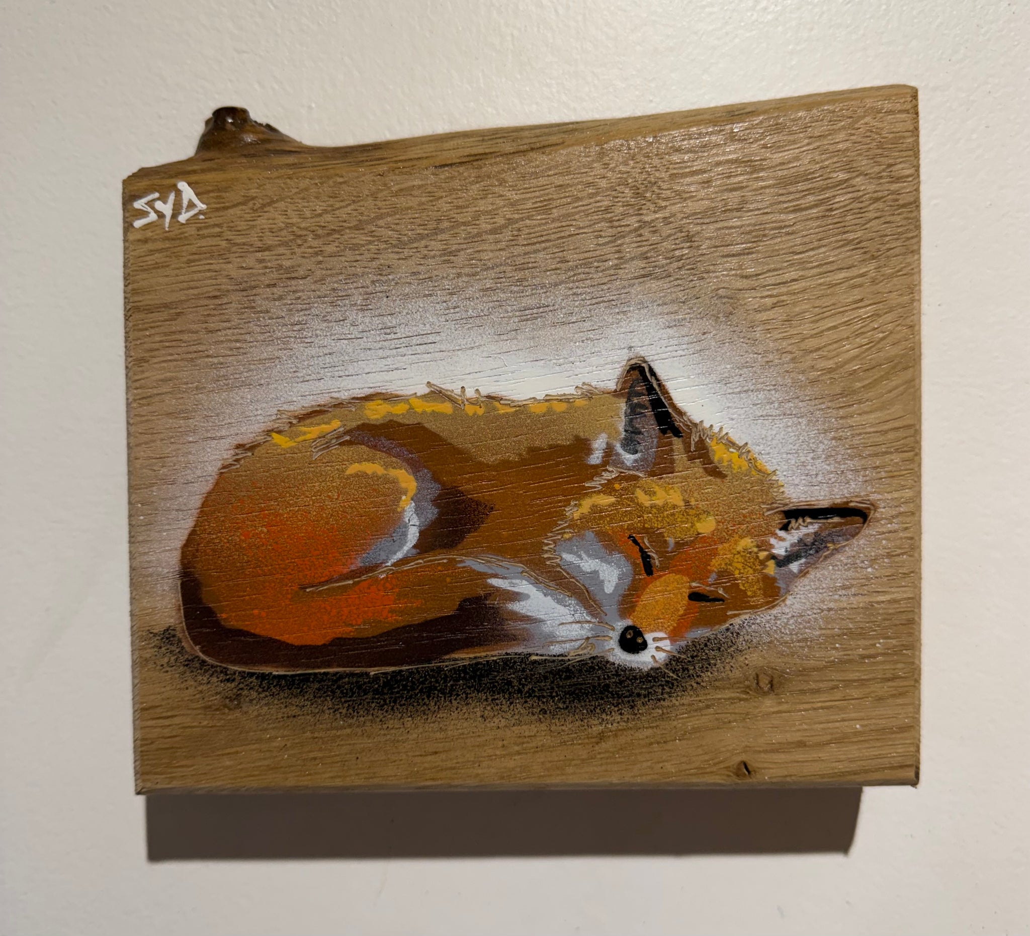 Snoozey Fox - New for 2026 on barky oak wood - Number 11 - Size 15 x 14cm