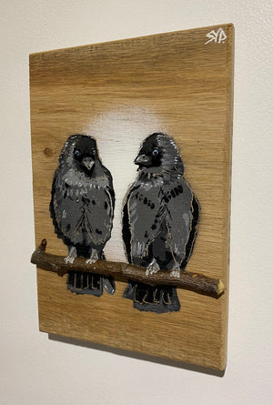 Local Lovebirds (Jackdaws) new for 2025 on Oak wood - Number 1 in edition - 14 x 21cm