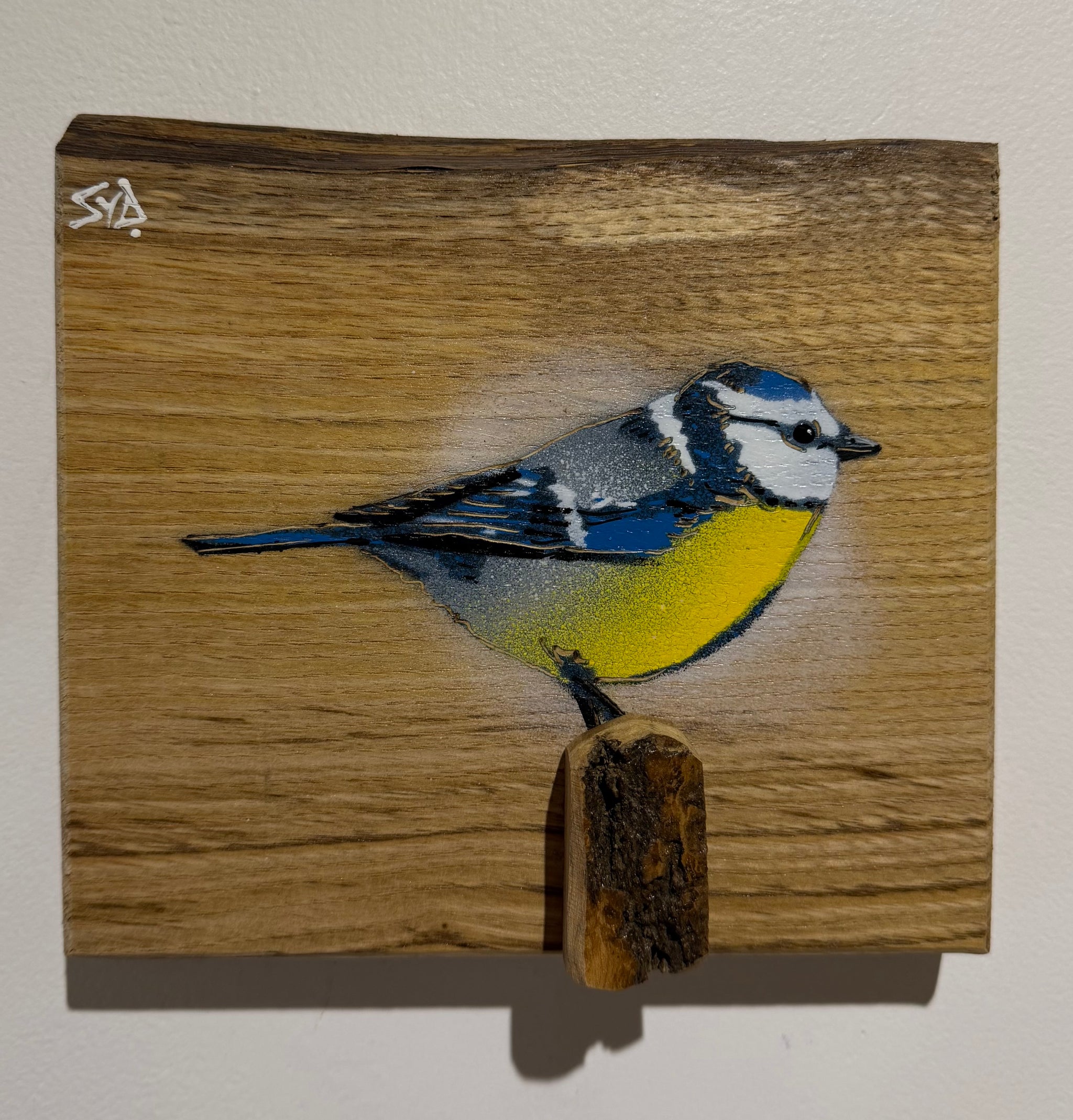 Blue Tit  'Spring Time' on Oak wood from the UK size 18 x 16cm - Signed limited edition artwork
