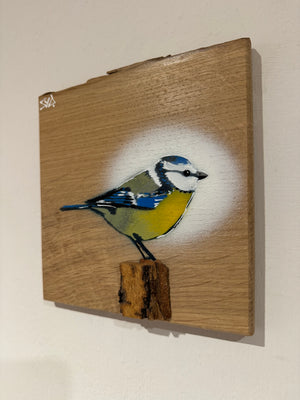 Blue Tit  'Spring Time' on Oak from the UK size 18 x 19cm - Signed limited edition artwork , number 56