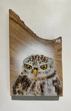 Little Owl -  New for 2024 - Unique Elm Wood size 13 x 21cm