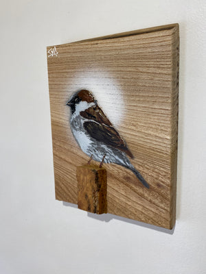 Sparrow on Elm - New for 2025 - Limited Edition No. 23 - Signed artwork size 14 x 19cm