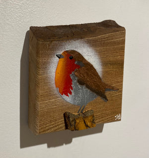 Robin 2025 on rare Elm with beautiful red grain and 3D stump - 11 x 12cm - New for Mother's Day