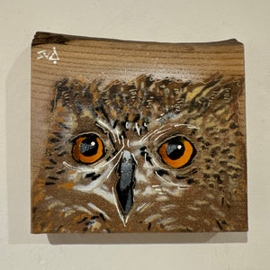 'Shy Guy' Owl artwork new for Christmas 2024 on barky Elm wood - Number 32 - size 13 x 12cm