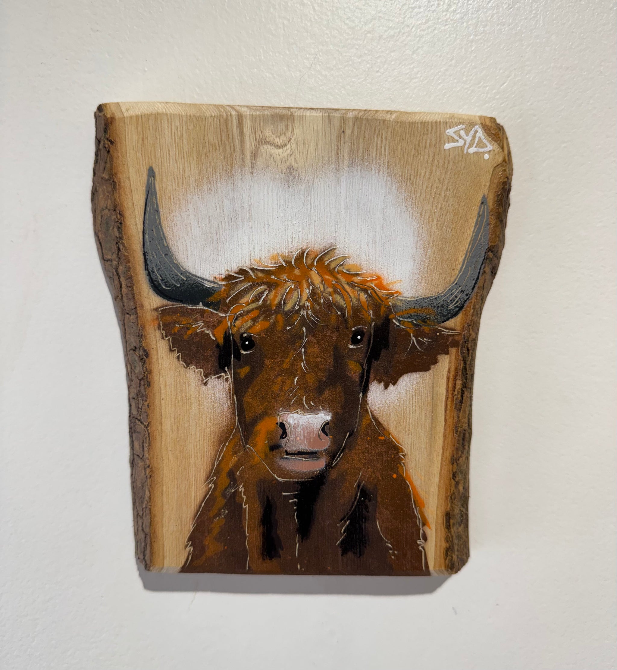 Highland Cow 2026 Barky Ash Wood - Signed Limited Edition Artwork - size 14 x 14cm - Number 37