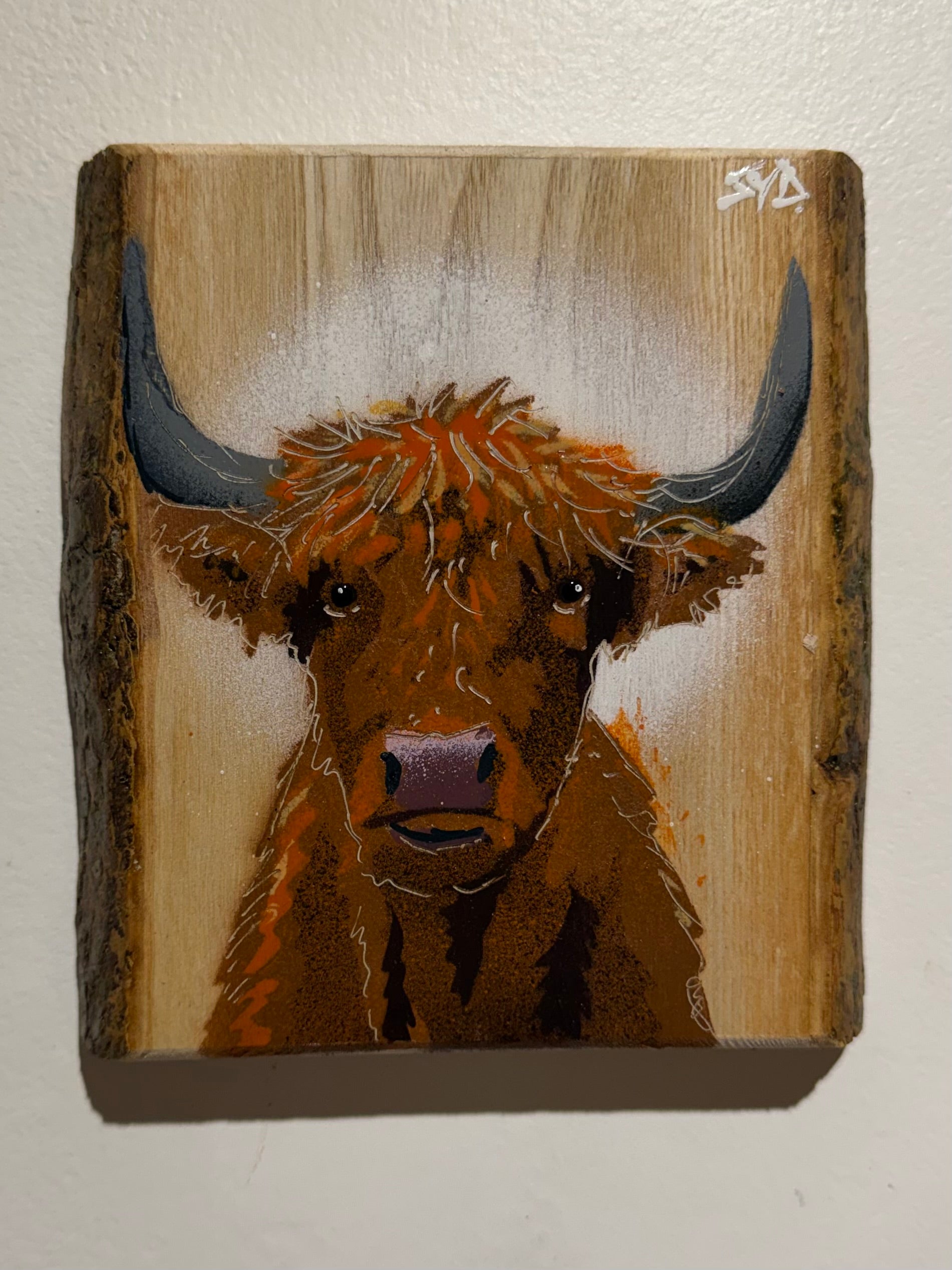 Highland Cow 2026 Barky Ash Wood - Signed Limited Edition Artwork - size 20 x 18cm - Numbers 2 to 5