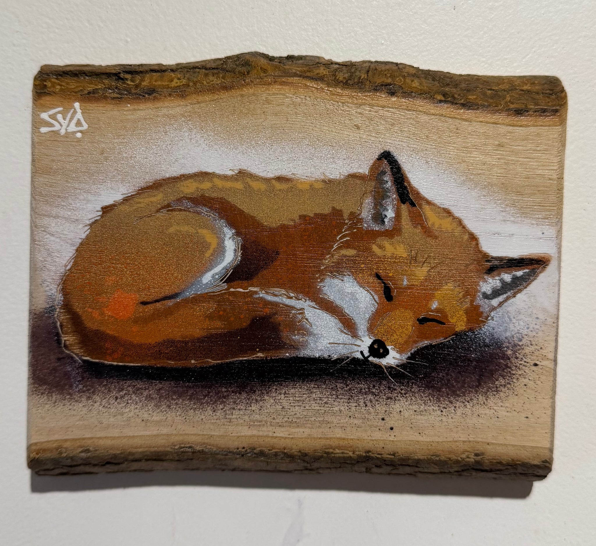 Snoozey Fox - New for 2026 on barky ash wood - Number 1 - Size 16 x 13cm