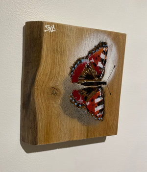 Butterfly 2024 Stencil Art on Elm, limited edition artwork - 14 x 22cm