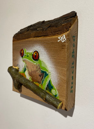 Tree Frog Brand New Artwork fro 2025 on Elm - Number 19 - 14 x 17cm with barky top edge