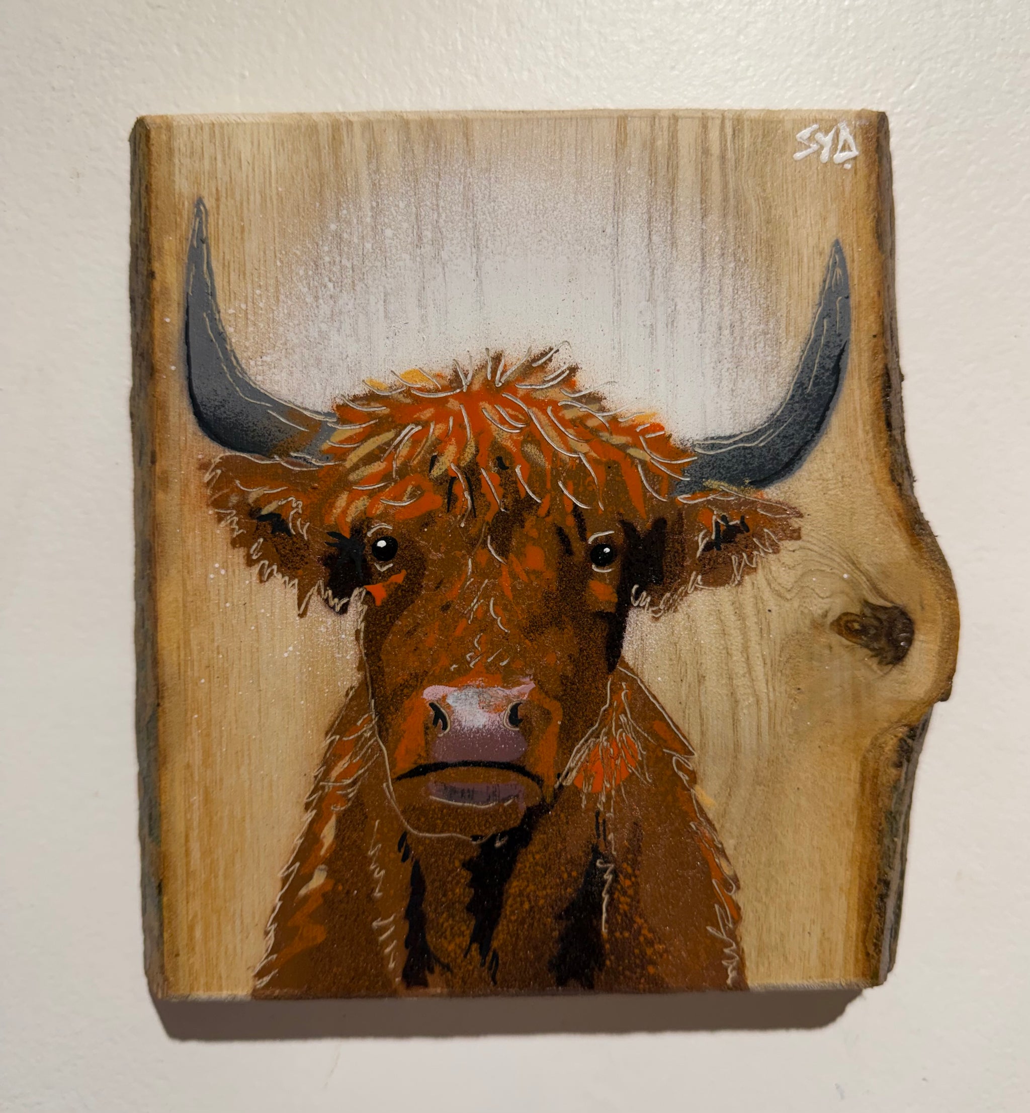 Highland Cow 2026 Barky Ash Wood - Signed Limited Edition Artwork - size 14 x 15cm - Number 10