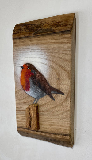 Robin 2025 on rare Elm with beautiful red grain and 3D stump - 13 x 25cm