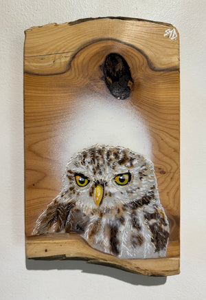 Little Owl - New for 2024 - Rare Yew Wood size 14 x 22cm