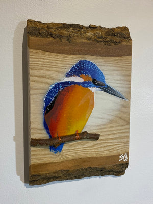 Kingfisher ‘Fisherman’ on ash barky wood - Number 1 in edition - Signed artwork size 15 x 23cm -