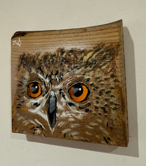 'Shy Guy' Owl artwork new for Christmas 2024 on barky Elm wood - Number 32 - size 13 x 12cm