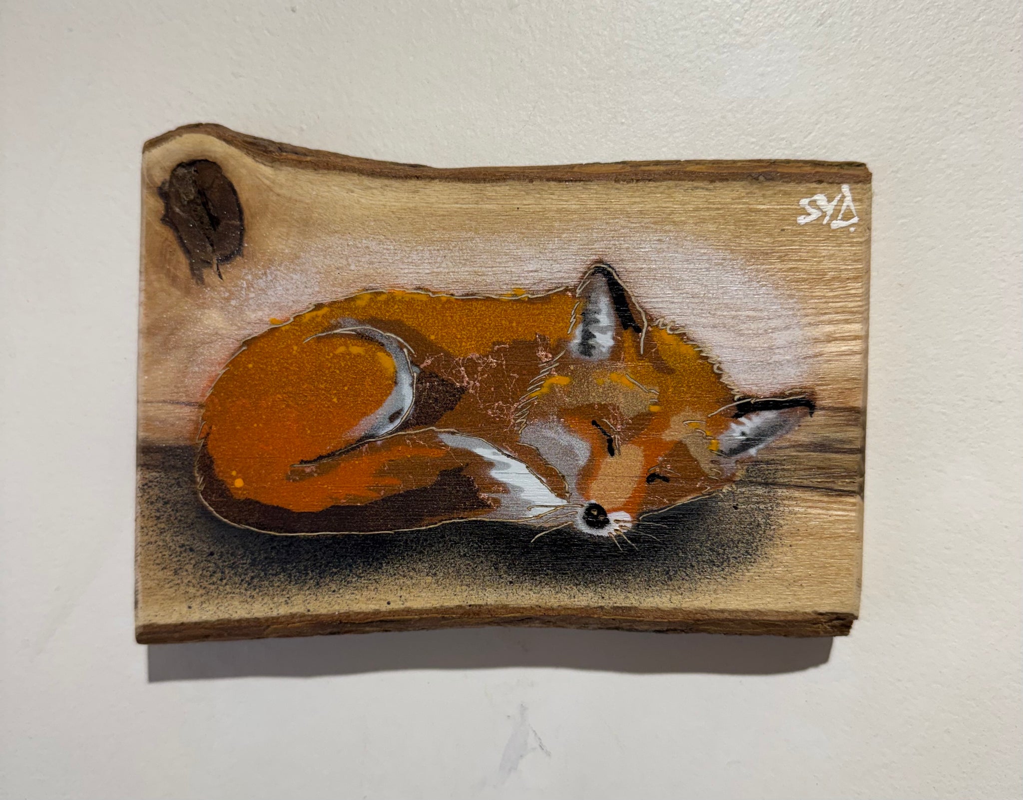 Snoozey Fox - Best Seller in 2026 on Ash wood - Number 85 - Size 17 x 13cm