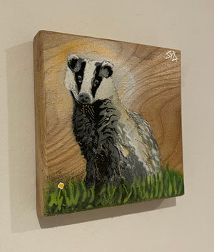 Moon Badger on Elm wood from the UK - 14 x 14cm.- Only ones left in edition