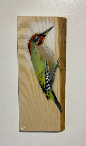 Woodpecker ‘Green’ - New for 2025 on barky Ash wood from signed limited edition - 11 x 26cm